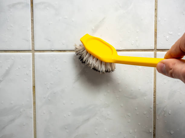 Best Black Mold Removal  in Bingham Farms, MI