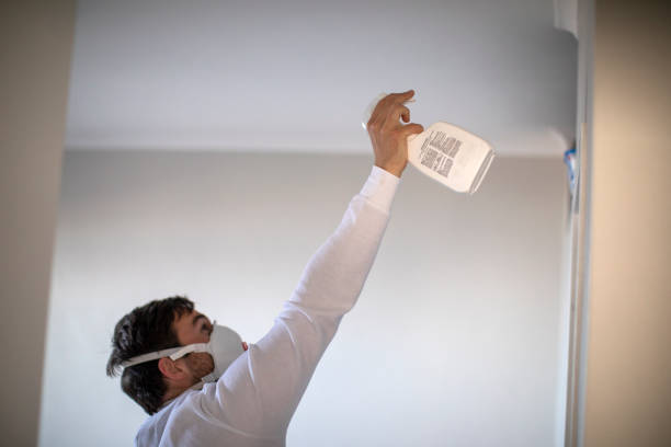 Best Crawl Space Mold Removal  in Bingham Farms, MI